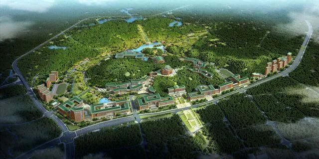 中山大学·深圳建设工程